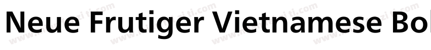 Neue Frutiger Vietnamese Bold字体转换